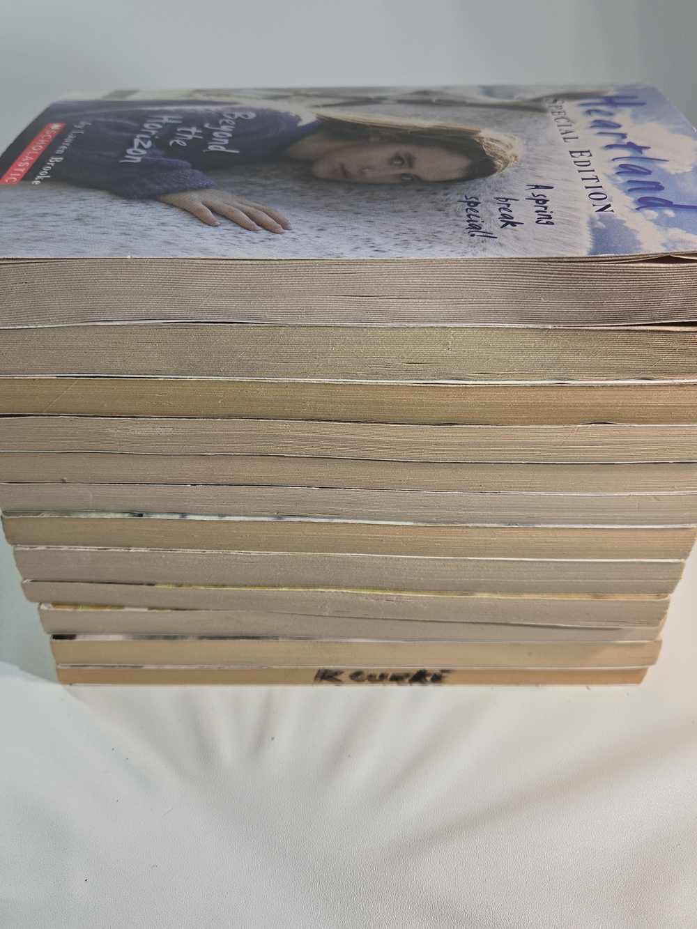 Heartland Book Collection in Multicolor - Picture 3 of 4